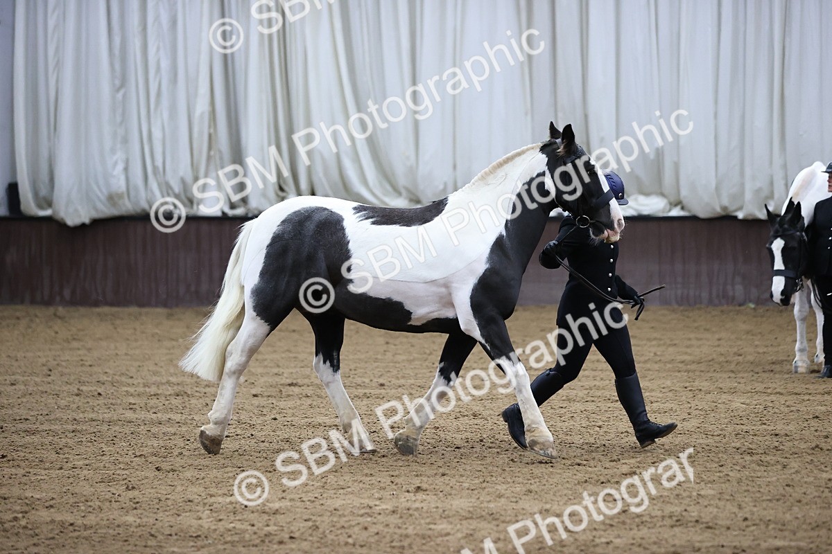 SBM_5285 - Class 32 - In Hand Cob Type