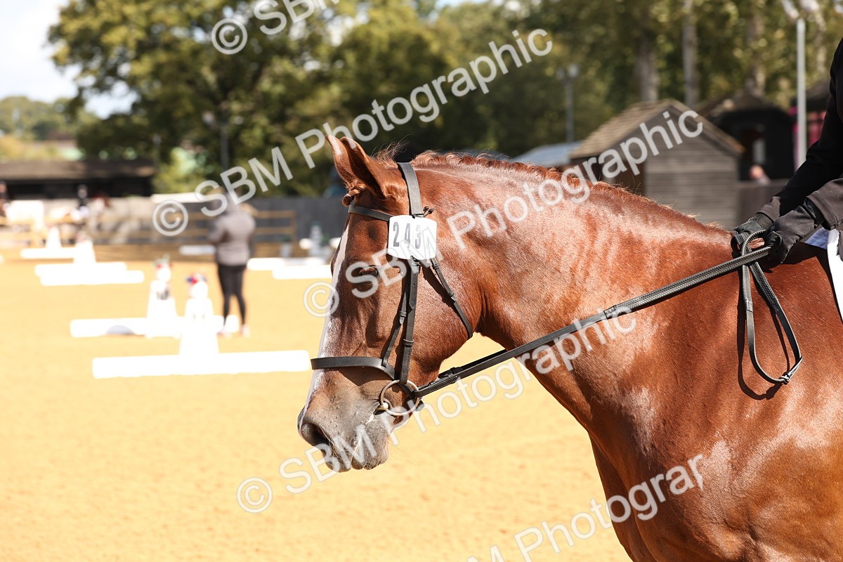 SBM_02480 - D10 - Small Tour Championship Prelim 2