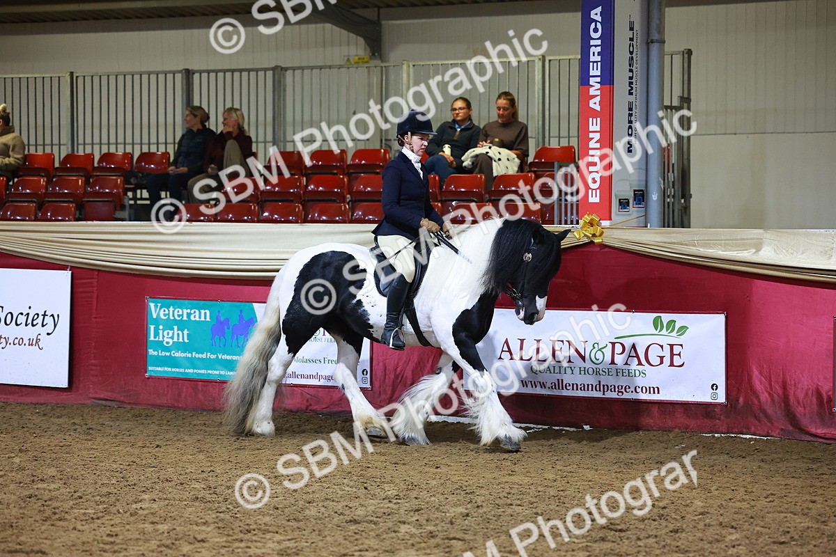SBM_14948 - Class M - Equitation Champ