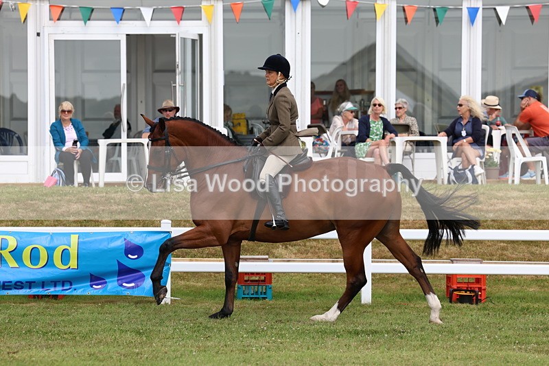 3E7A9329 - Class 4: Rising Star M/H Hunter