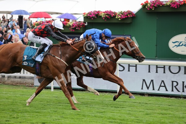 yr22072022r2-31 - Race 2 5.50pm eventmasters.co.uk Stakes