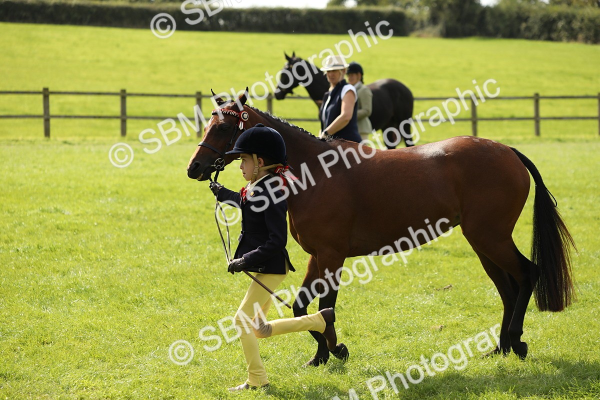 SBM_65587 - S48 - Show Pony & Show Hunter Pony In Hand