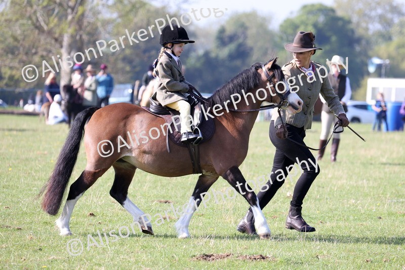 20250427-0134 - Class 30 - Tiny Tots Lead Rein
