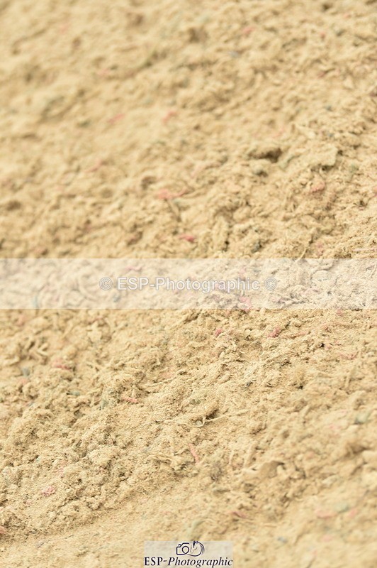 230720A-140412-03299 - Cls 21, 1 Star Gold 1.30m