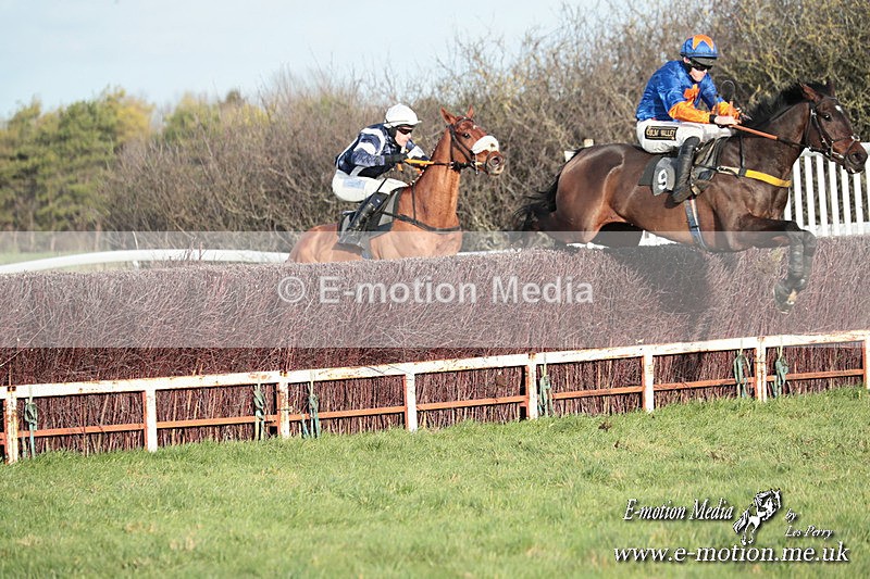 PtP 141225  1638 - New Forest Hounds PtP Larkhill 14/12/25