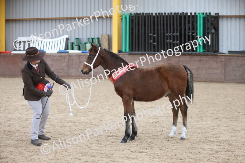 20251109-1176 - Championship