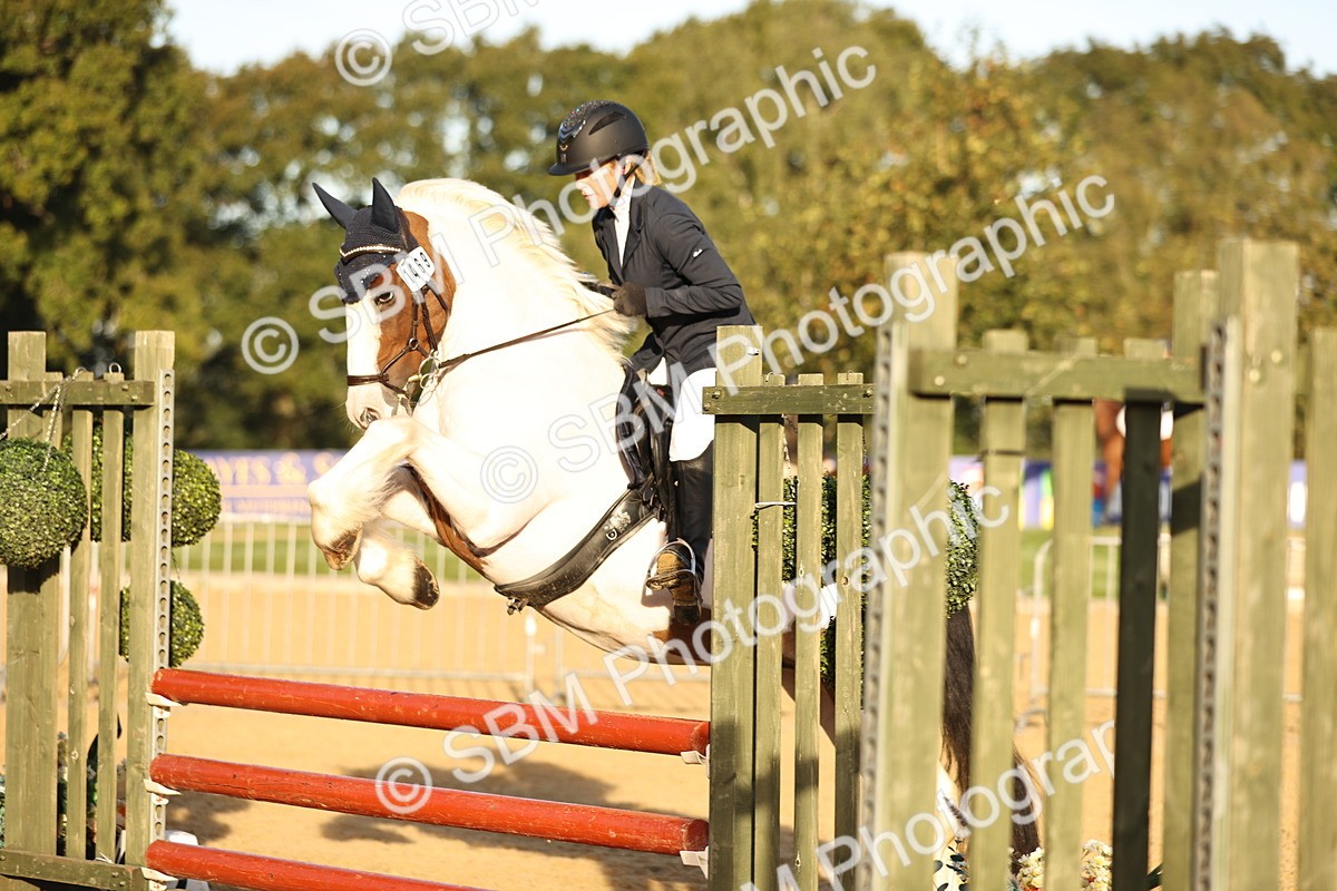 SBM_33023 - J38 - Senior 80cm Championship