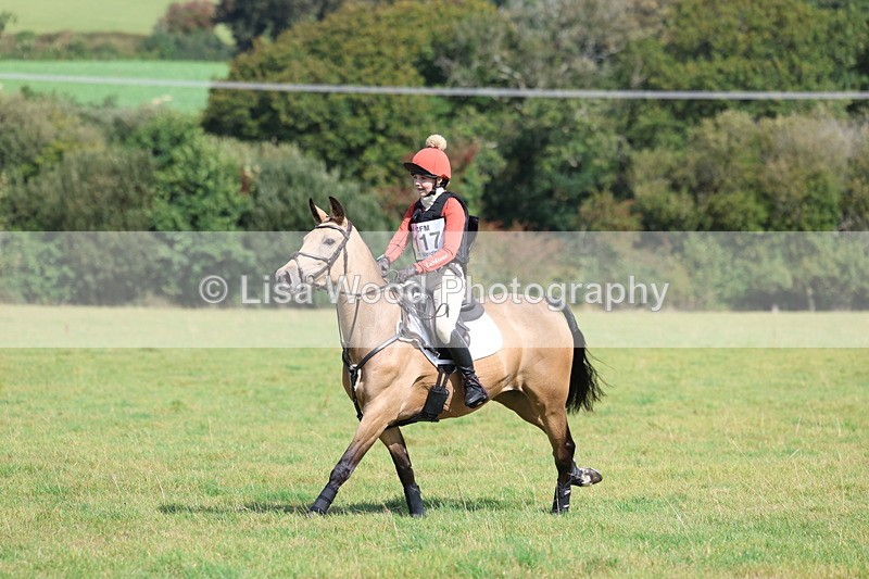 3E7A6657 - Class 1: Trebudannon Open: Pheasant Feeder