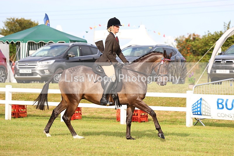 3E7A8038 - Class 2: Rising Star Large Hack/Riding Horse