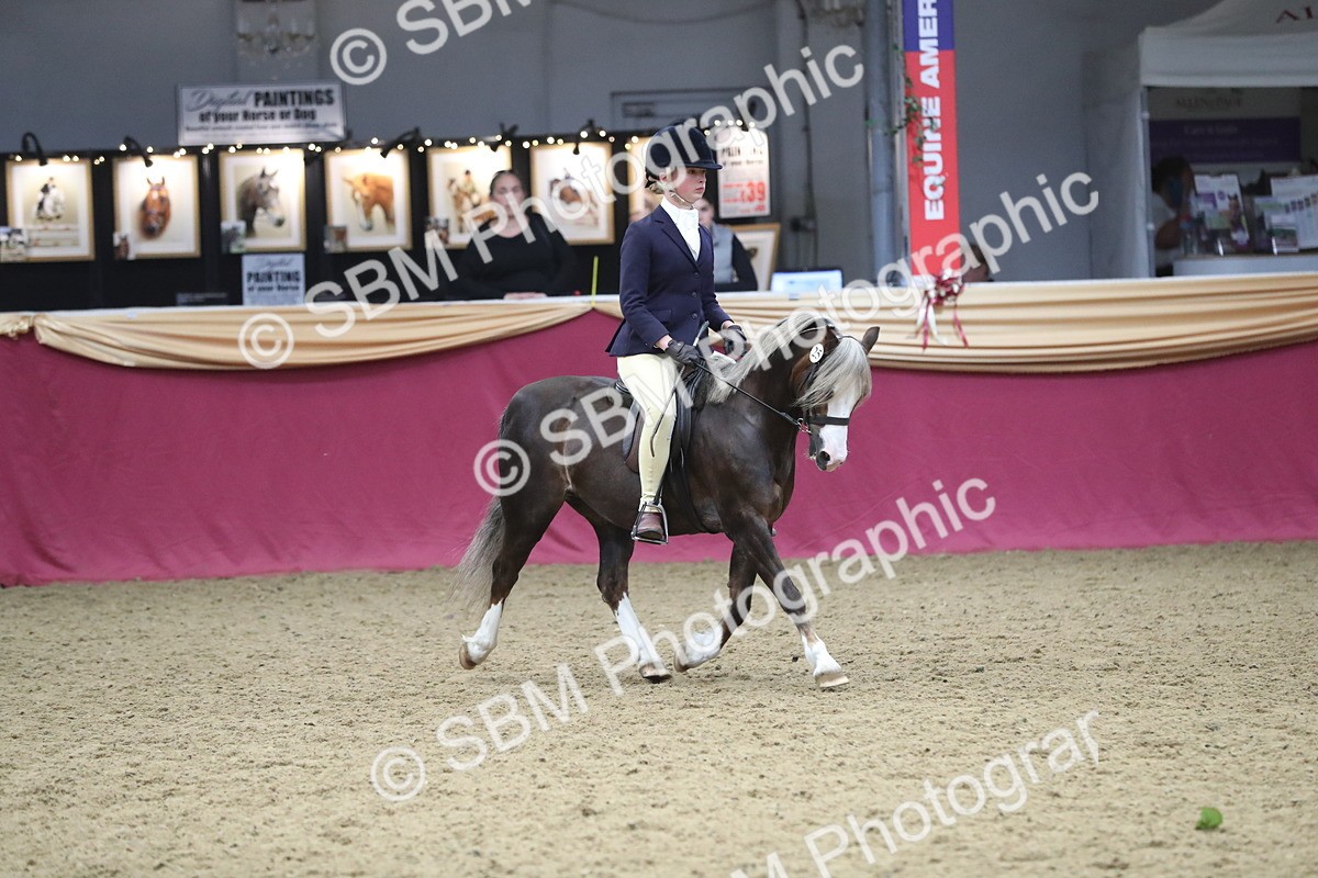 SBM_16426 - Class 502 M&M Ridden Supreme Final