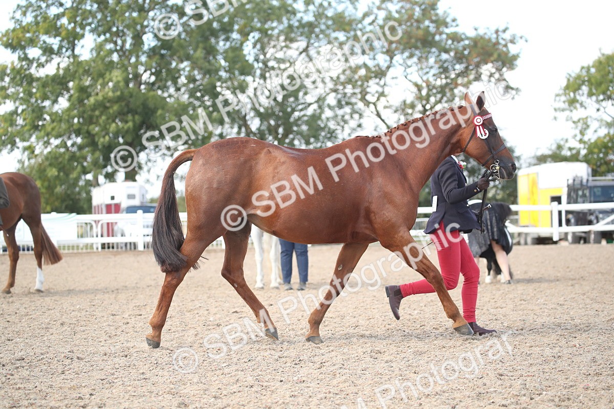 SBM_23119 - Class 606 - 2026 - Area - IH Pre Vet