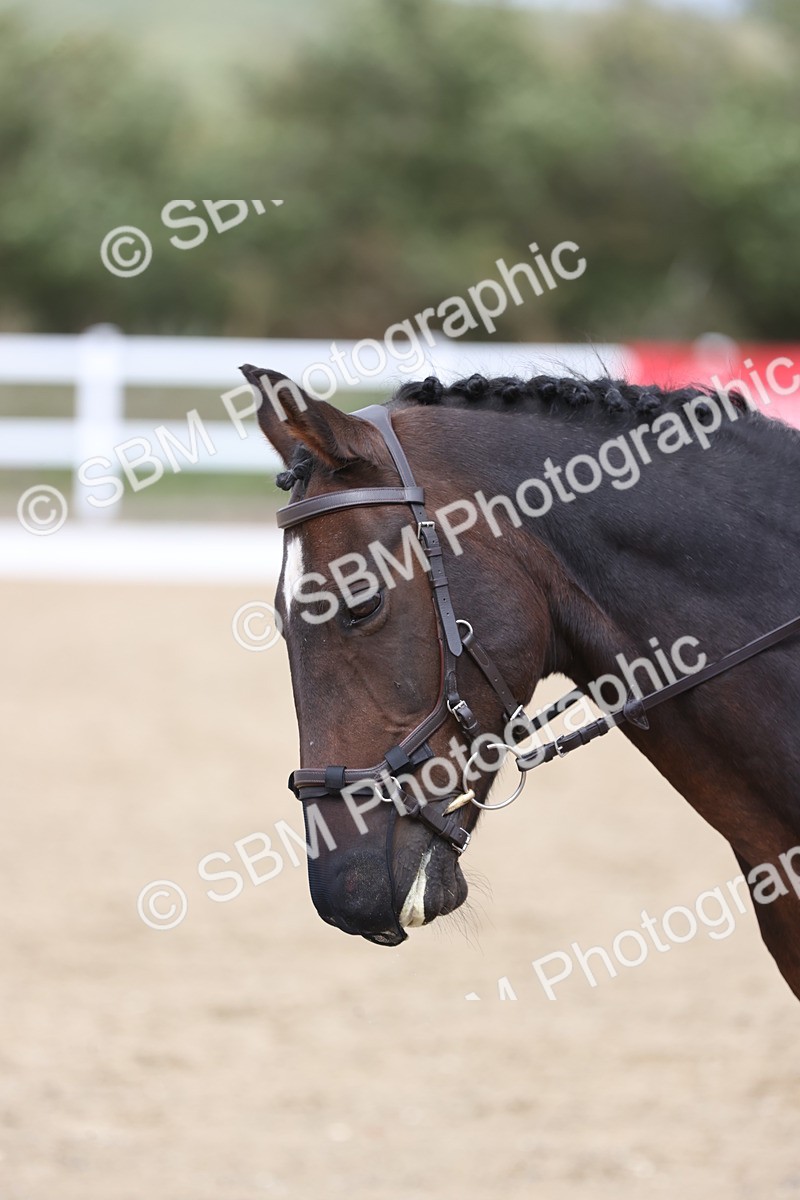 SBM_003955 - Class 9 - Novice 3 Champs