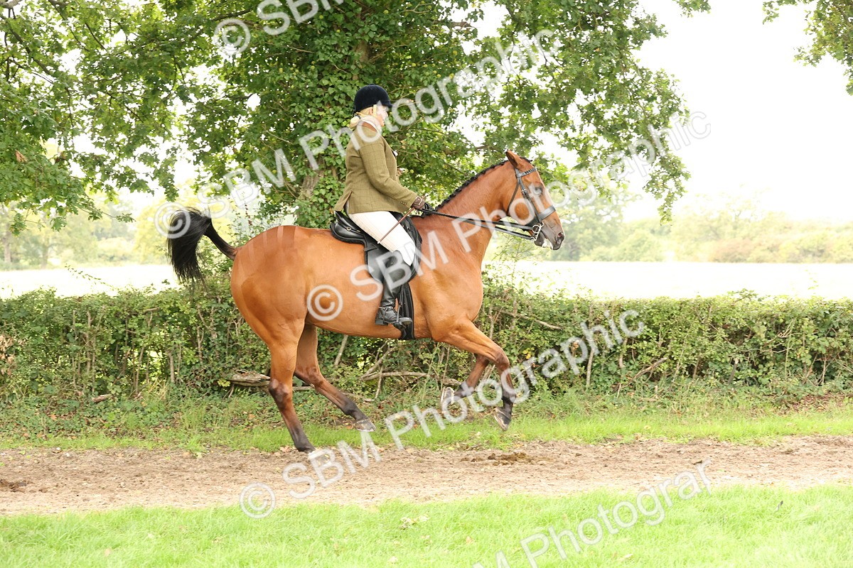 SBM_66304 - S66 - Hunter Ridden