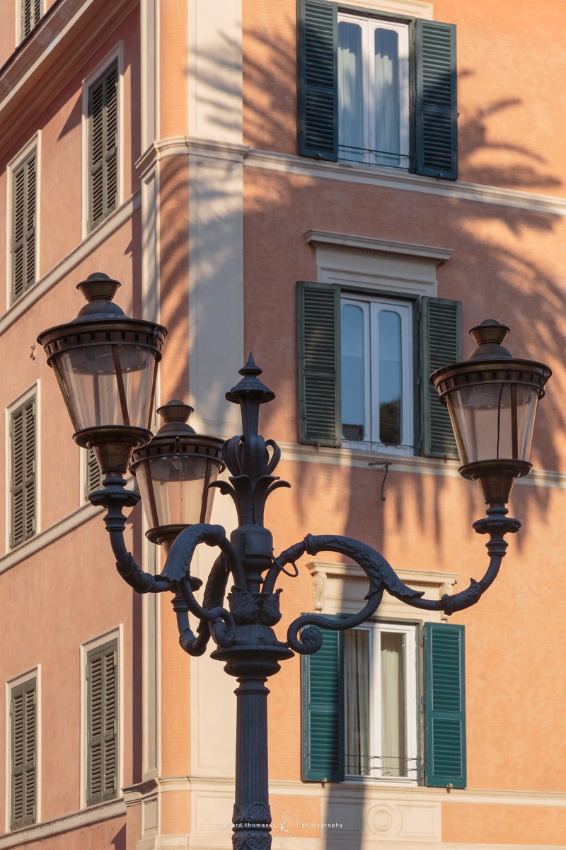 Palm lamp - Roman Walls