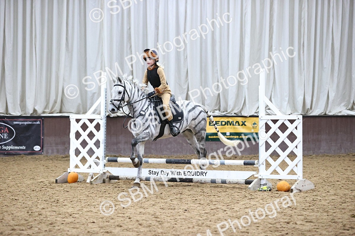SBM_001264 - Class 3 - Horse & Hound 60cm