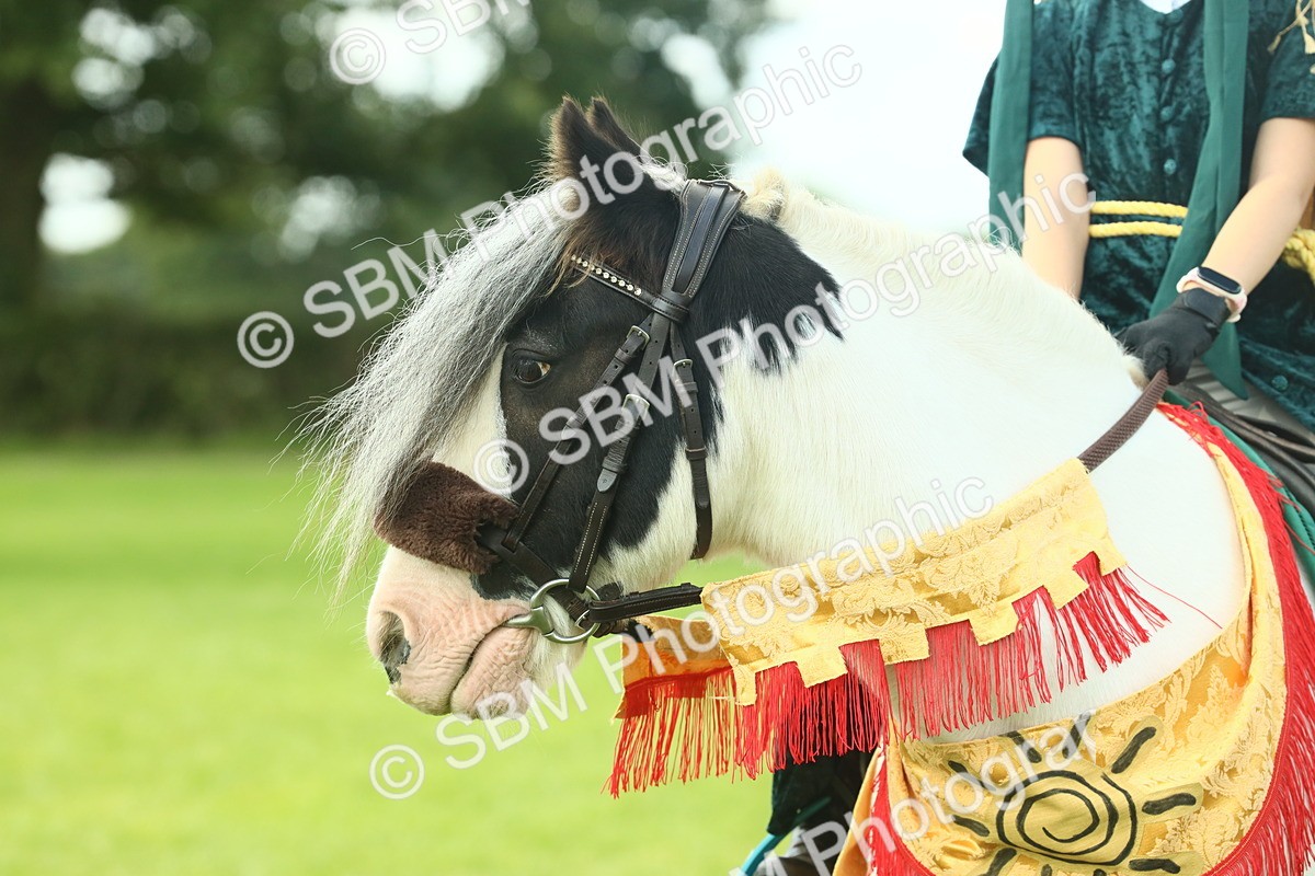 SBM_63591 - S35 - Fancy Dress Showing