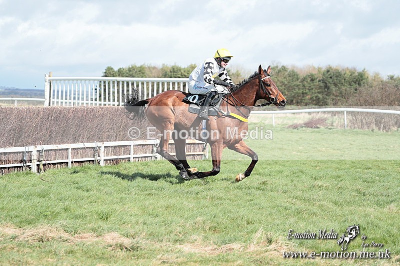 PtP 230324 292 - Tedworth Hunt PtP Larkhill Raccourse 23rd March 2024