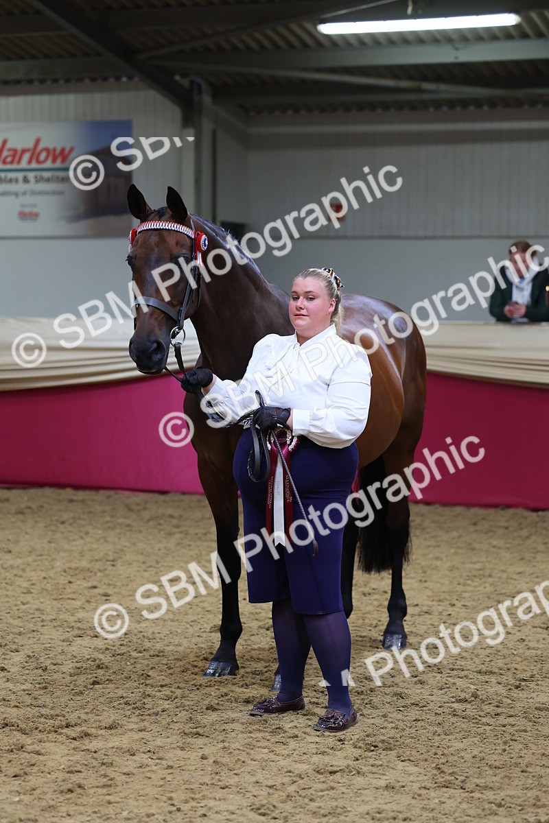 SBM_21127 - Class 902 - Supreme Final IH Veteran