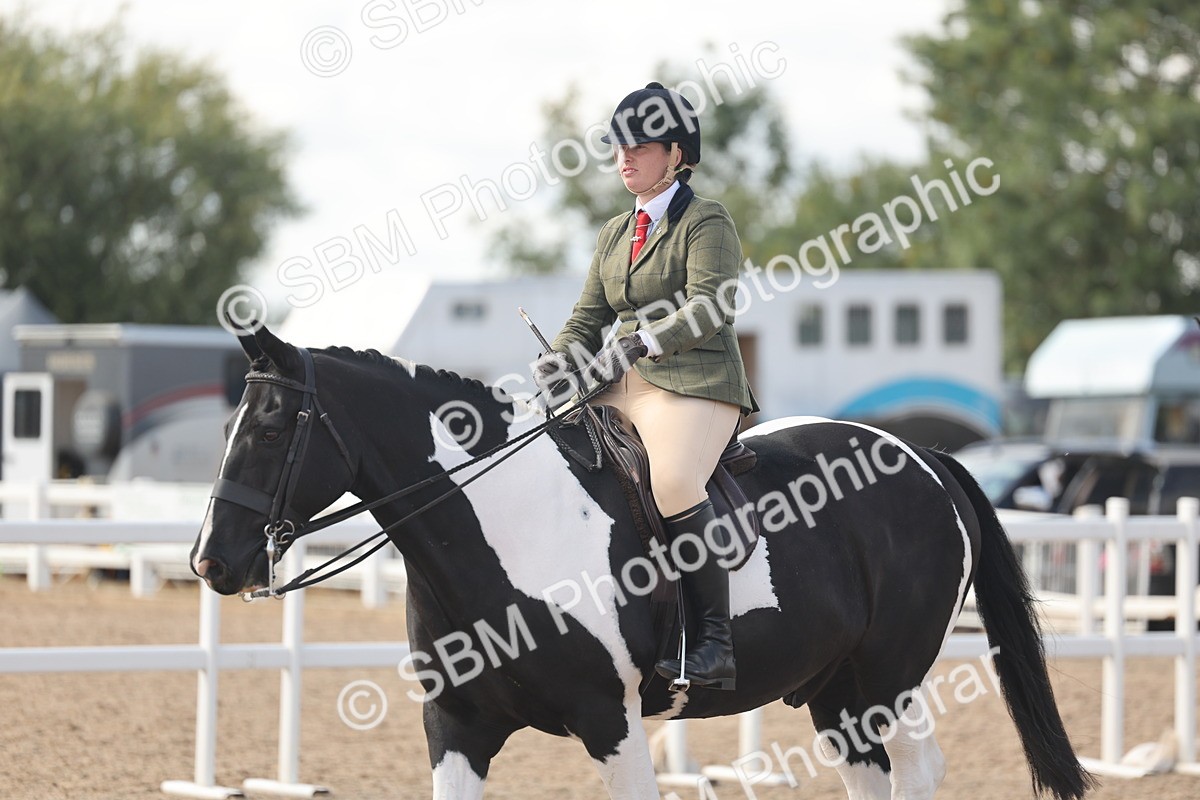 SBM_14817 - Class 308 - Ridden Coloured Horse
