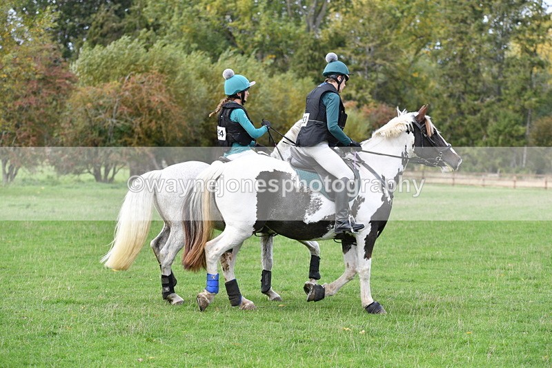 WJ5_0308 - Time 13:25 to 13:58