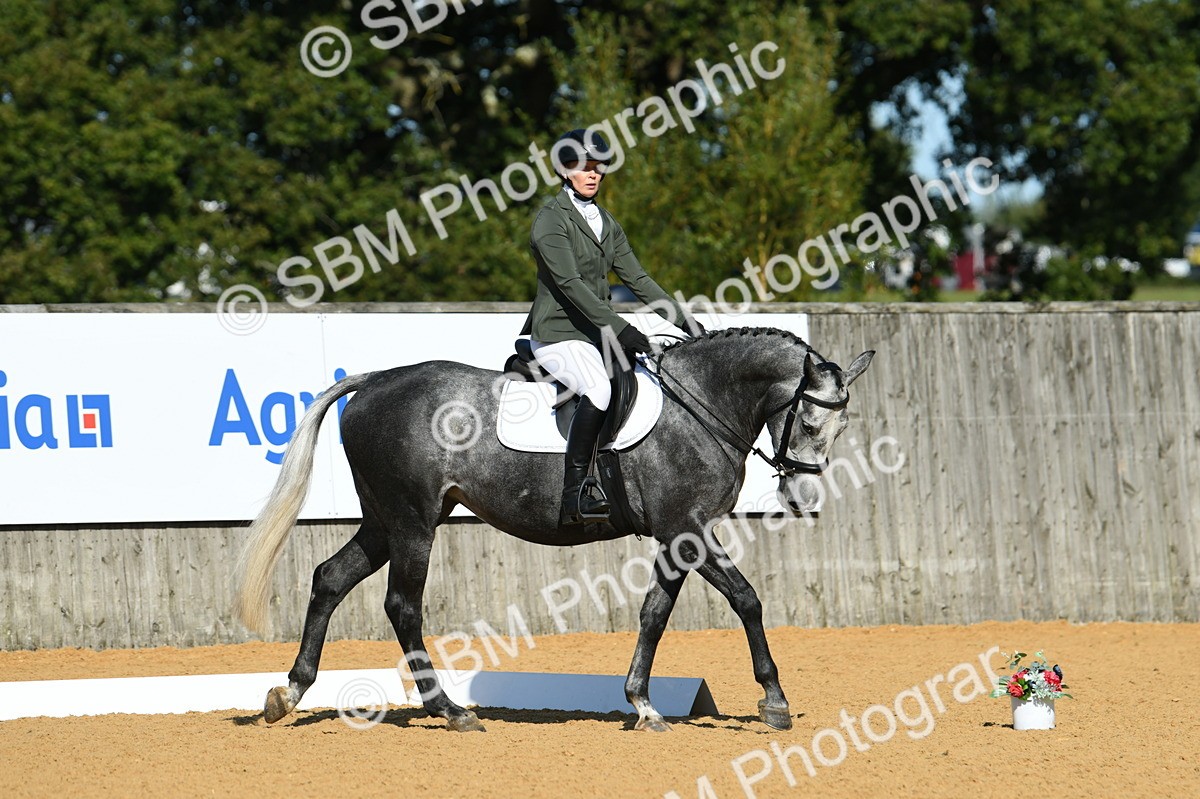 SBM_17952 - D4 - Small Tour Championship - Intro B