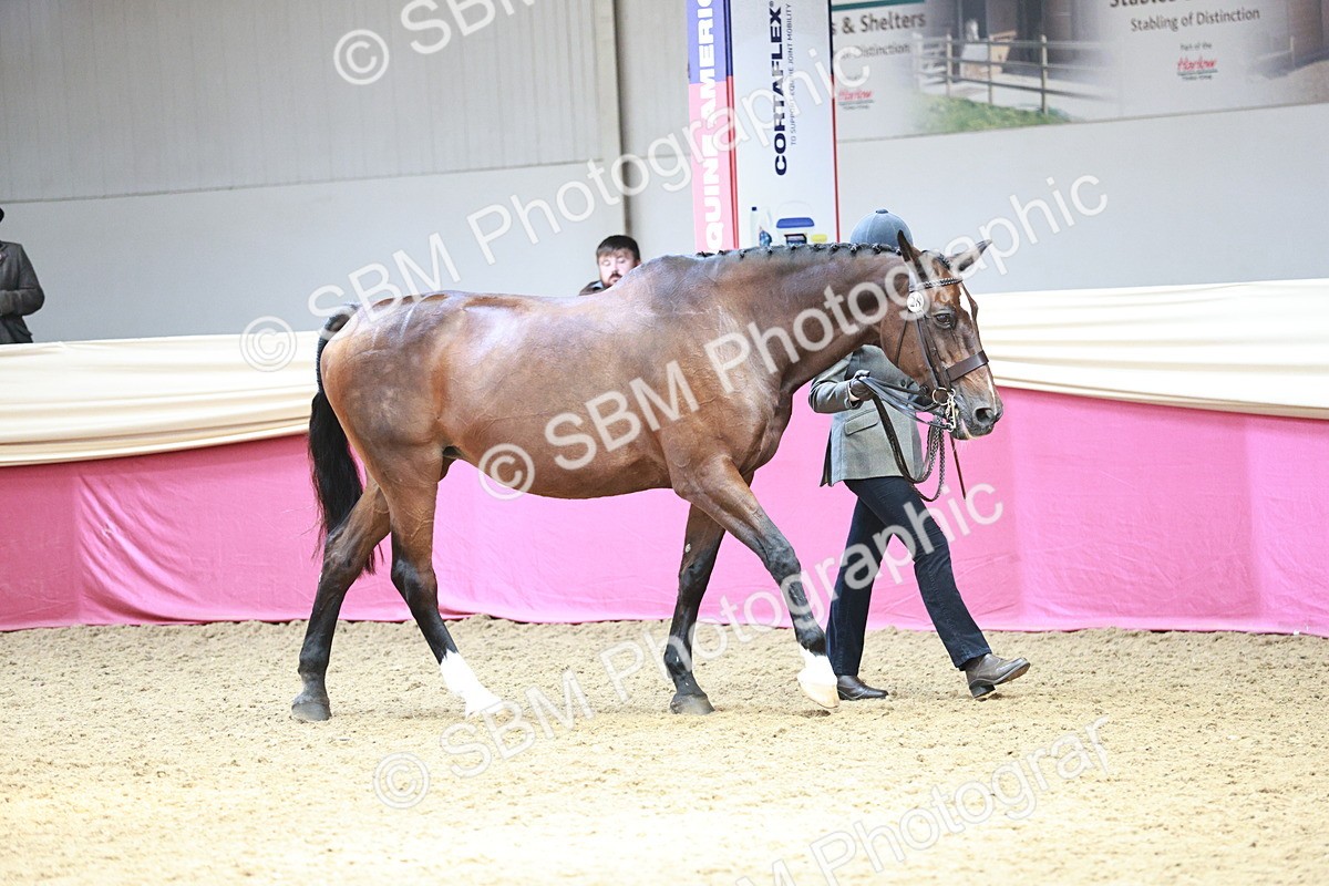 SBM_04724 - Class 7R - Regional IH Diamond