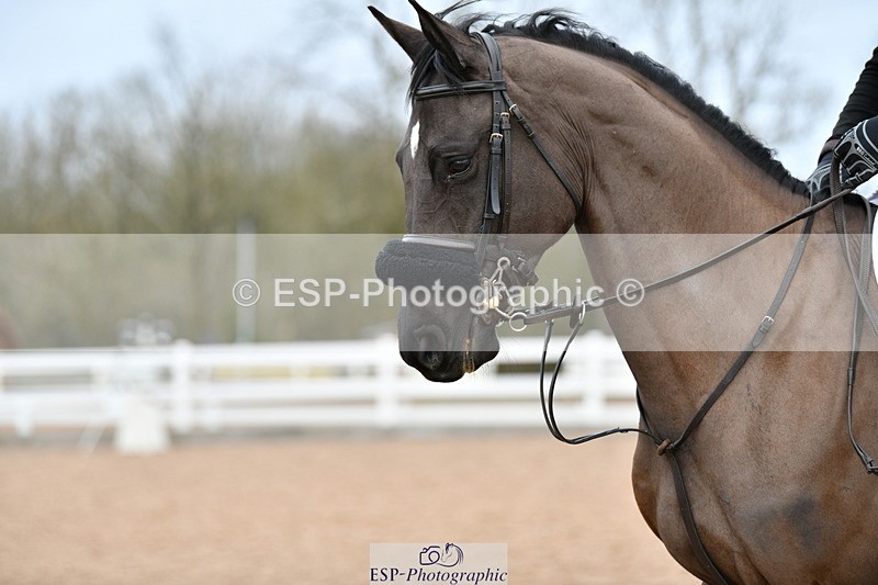 240124A-121658-00400 - Cls 3 Newcomers & 1.10m Open