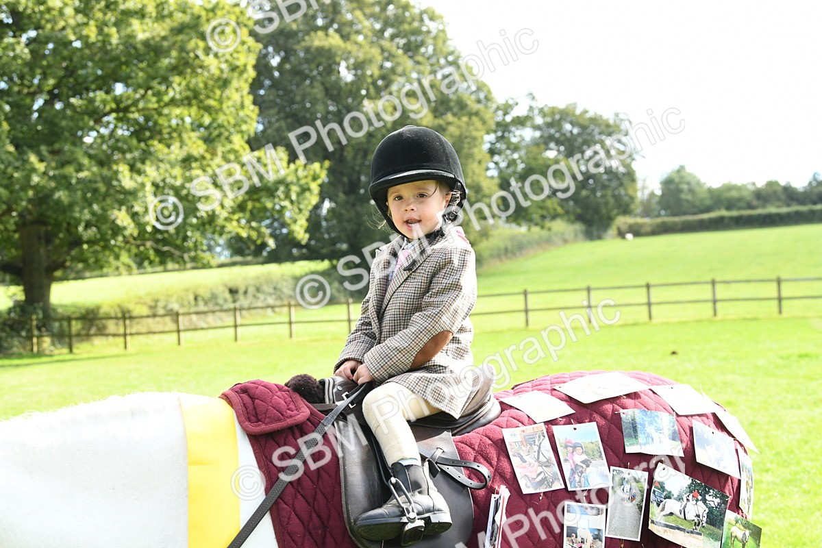 SBM_47262 - S12 - Family Horse & Pony