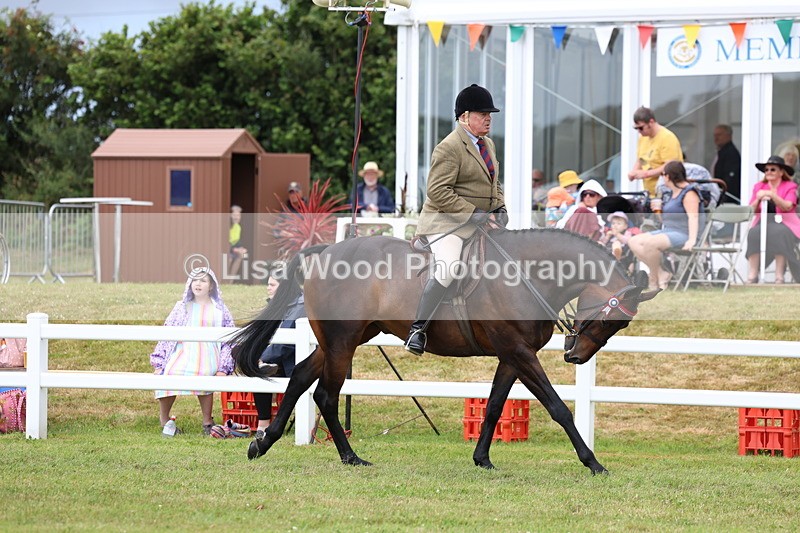 3E7A0929 - Class 8: Open Riding Horse/Hack