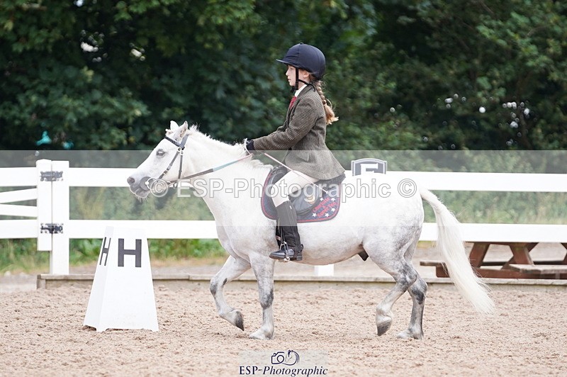 240809A-104716-00661 - Dressage Competition