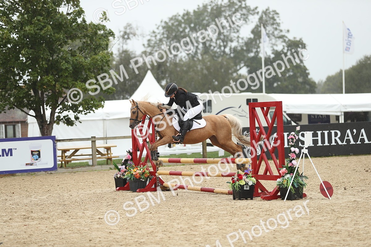 SBM_73929 - J16 - Junior Pony 75cm Championship
