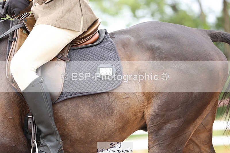 240621A-174037-05694 - Cls 6 Novice 30