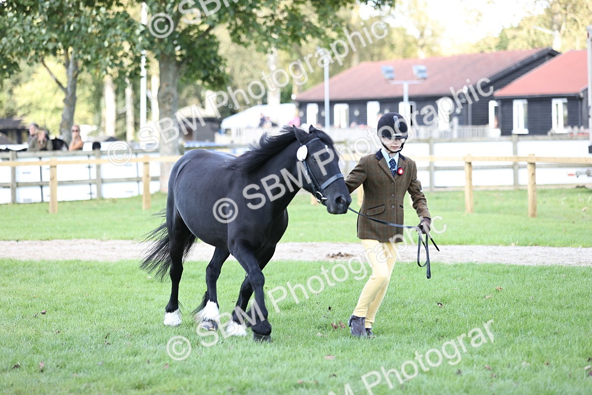SBM_26243 - S5 - Novice & Newcomers In Hand