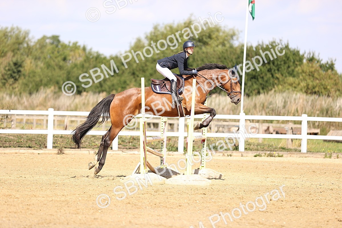 SBM_005874 - Class 9 - Senior British Novice - 90cm