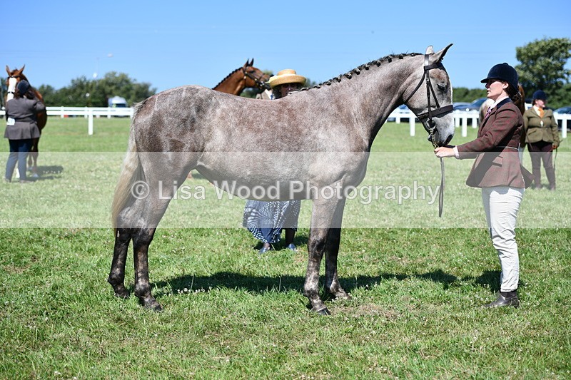 DSC_6795 - Class 57: Hunter/Riding Horse/Hack 1, 2 & 3 yr olds