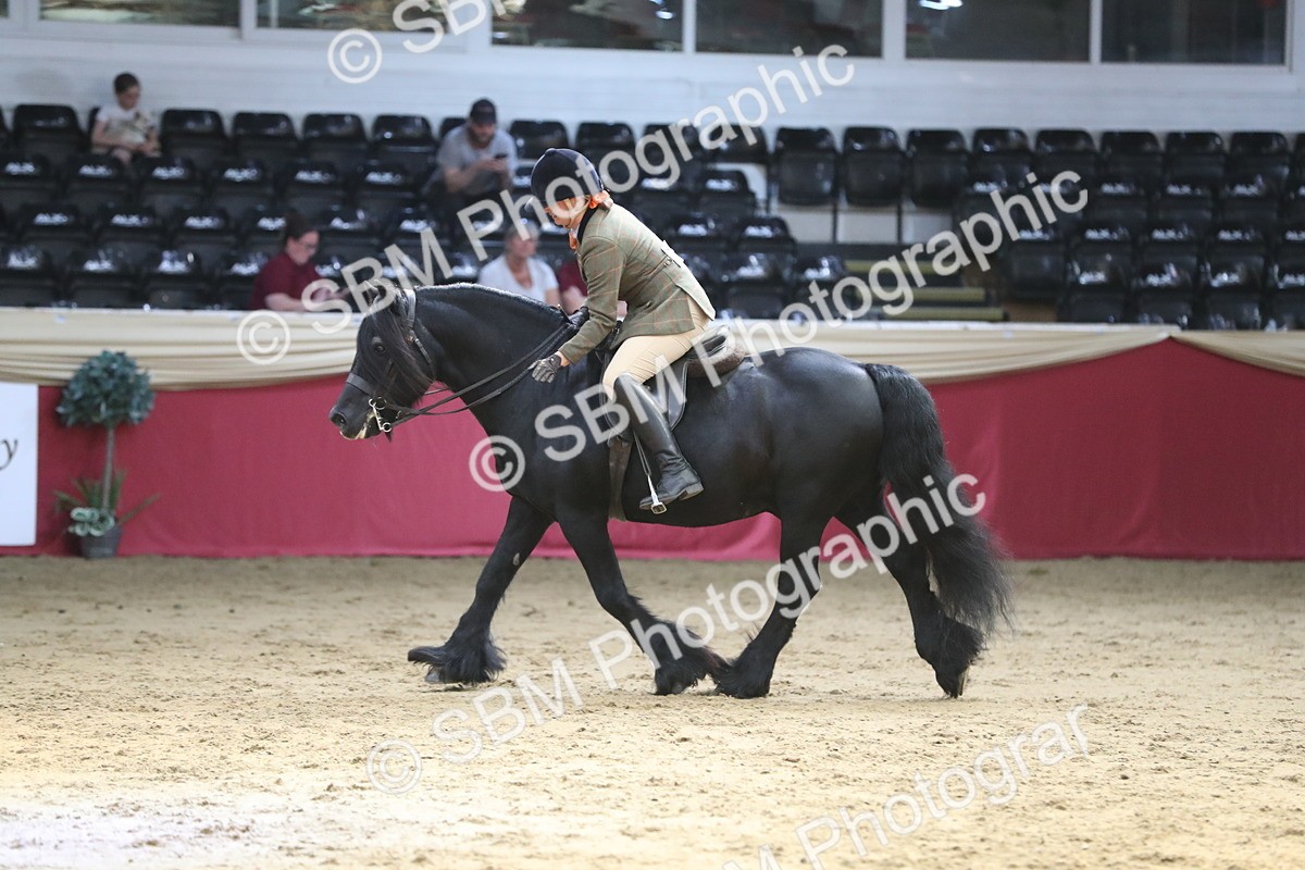 SBM_08389 - Class 11R Regional Ridden Veteran