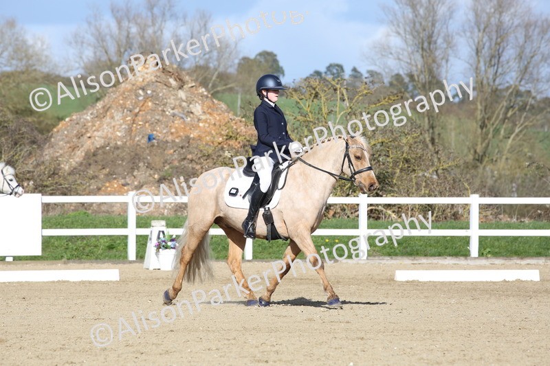 20260314-5173 - DR6 - Novice 2