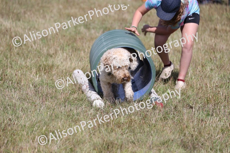 20260906-3428 - Class 34 - Dog Agility