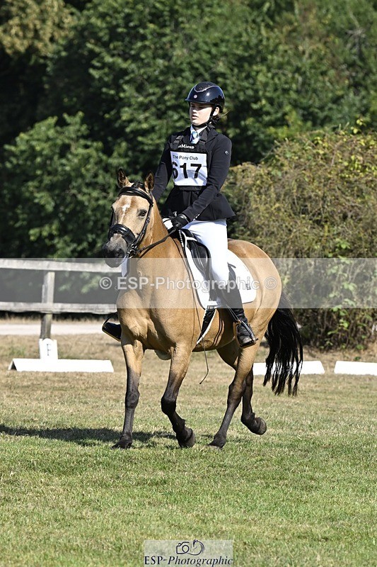 250822A-102640-20236 - DR 10.00 to 11.00