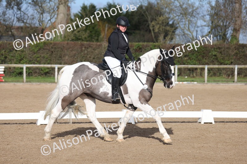 20260128-0455 - Class 4 - Novice 5