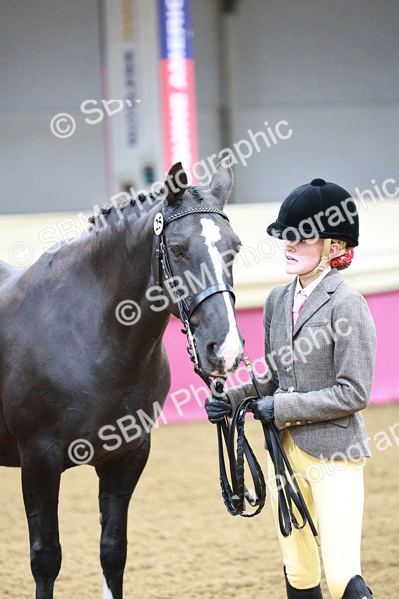 SBM_00170 - Class 1A - Area IH Diamond