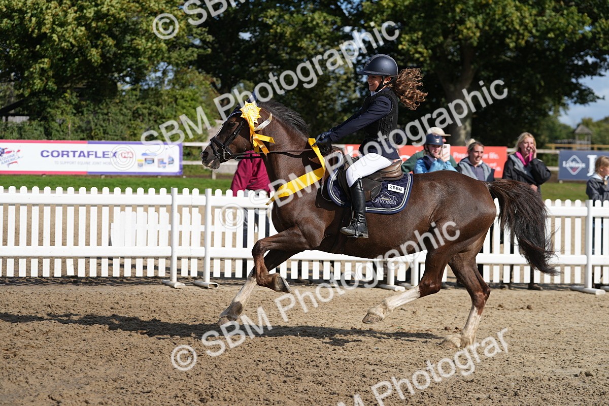 SBM_48629 - J7 - Junior Pony 60cm Championship