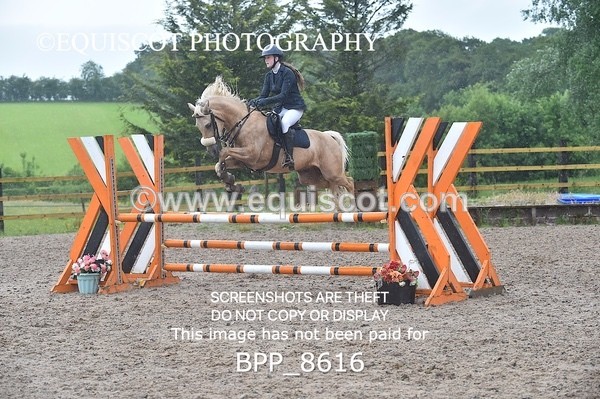 BPP_8616 - CLASS 4 Pony Discovery / 90cm Open