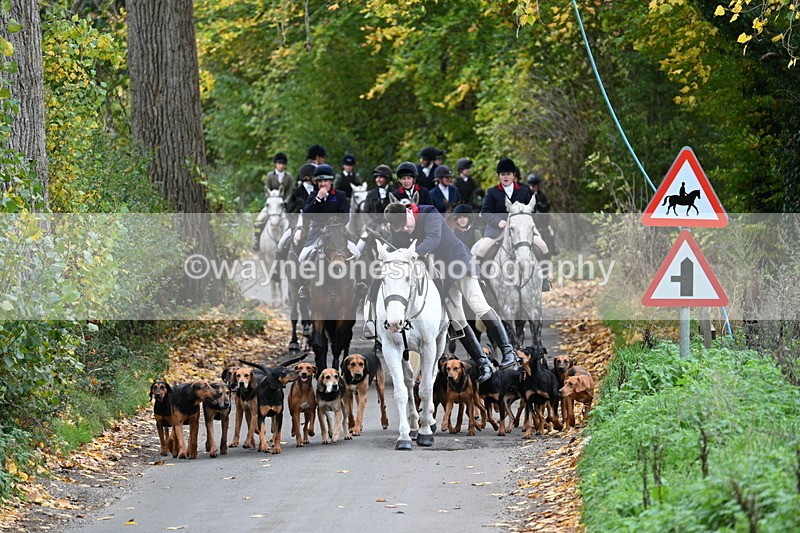 WJ7_7115 - Walk Home..