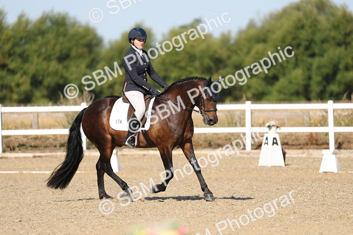 SBM_012745 - Class 1 - P5 Bronze 9.00.10.12