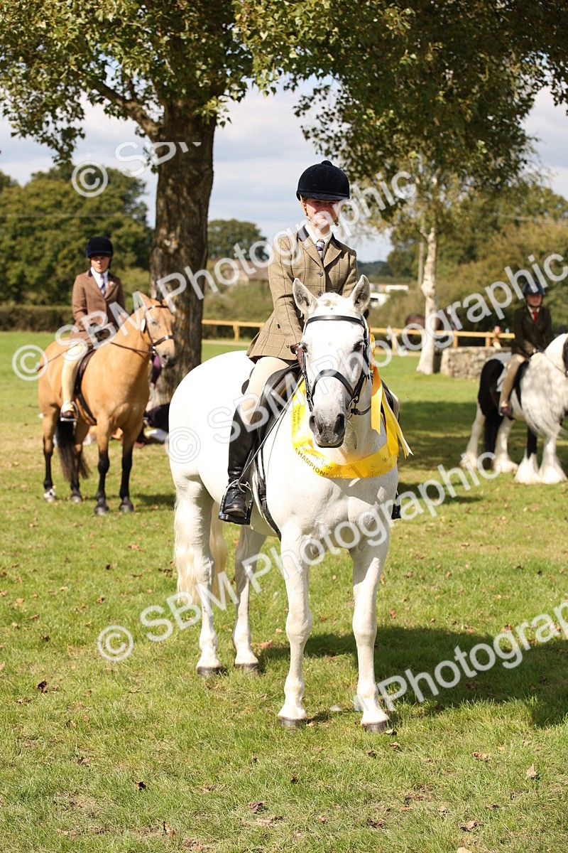SBM_42390 - S13 - Pony Club Pony