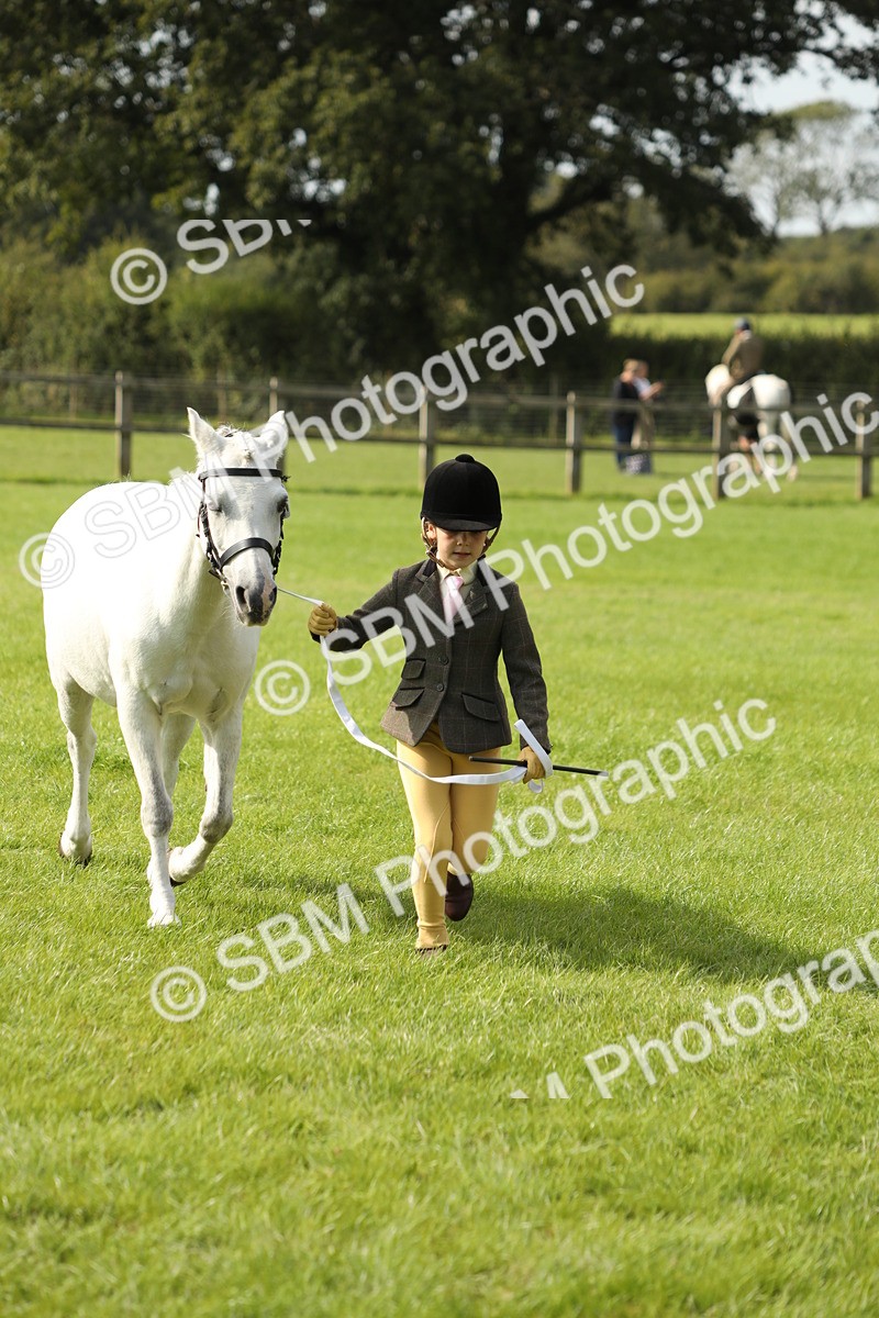 SBM_68658 - S40 - Junior Handler 9-12 Years