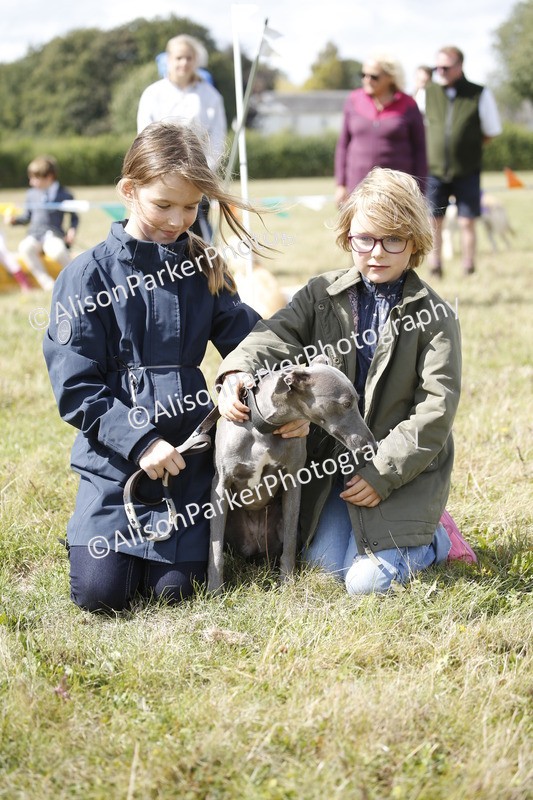 20250831-3681 - Dog Show