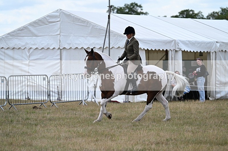 WJ7_5199 - Class 12 Ridden Cob