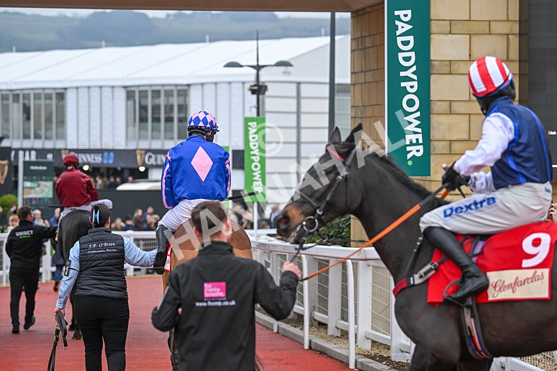 151124-Race 4-GVs-8094 - Race 4